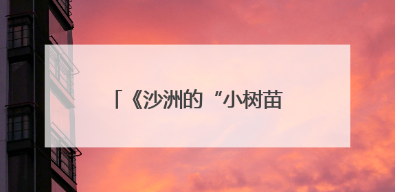 《沙洲的“小树苗”》：新时代中国少年的成长缩影