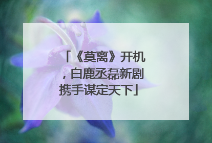 《莫离》开机，白鹿丞磊新剧携手谋定天下