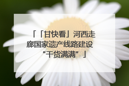 「甘快看」河西走廊国家遗产线路建设“干货满满”