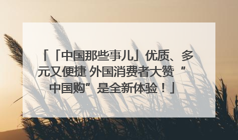 「中国那些事儿」优质、多元又便捷 外国消费者大赞“中国购”是全新体验！
