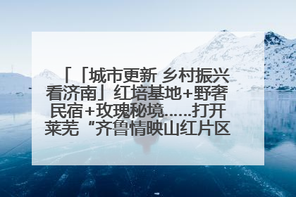 「城市更新 乡村振兴看济南」红培基地+野奢民宿+玫瑰秘境……打开莱芜“齐鲁情映山红片区”的破圈秘籍