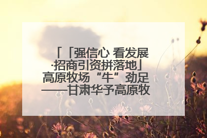 「强信心 看发展·招商引资拼落地」高原牧场“牛”劲足——甘肃华予高原牧场高标准奶牛肉牛养殖项目一线见闻