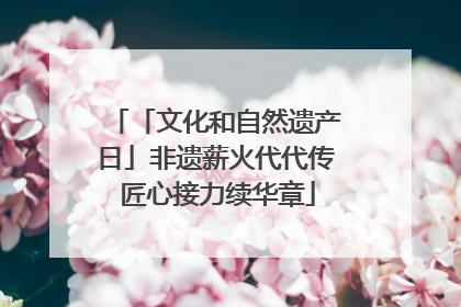 「文化和自然遗产日」非遗薪火代代传 匠心接力续华章