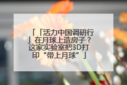 「活力中国调研行」在月球上造房子？这家实验室把3D打印“带上月球”