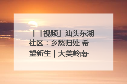 「视频」汕头东湖社区：乡愁归处 希望新生｜大美岭南·百村焕新记