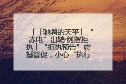 「驰骋的天平」“赤电”出鞘·剑指拒执︱“拒执预告”震撼督促，小心“执行”变“执刑”