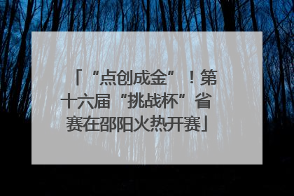“点创成金”！第十六届“挑战杯”省赛在邵阳火热开赛