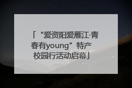 “爱资阳爱雁江·青春有young”特产校园行活动启幕