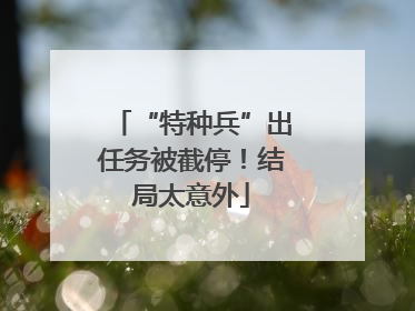 “特种兵”出任务被截停！结局太意外
