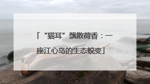 “猫耳”飘散荷香：一座江心岛的生态蜕变