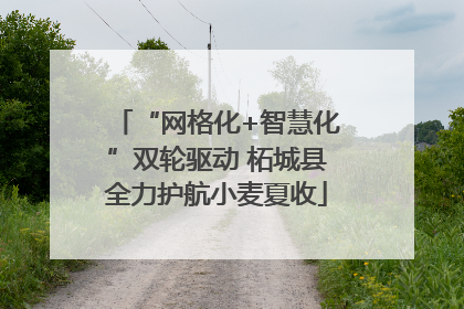 “网格化+智慧化”双轮驱动 柘城县全力护航小麦夏收