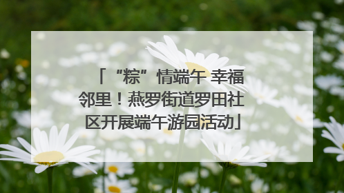 “粽”情端午 幸福邻里！燕罗街道罗田社区开展端午游园活动