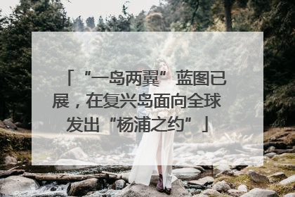 “一岛两翼”蓝图已展，在复兴岛面向全球发出“杨浦之约”