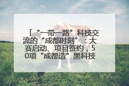 “一带一路”科技交流的“成都时刻”：大赛启动、项目签约，50项“成都造”黑科技吸引多国客商
