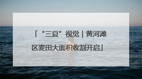 “三夏”视觉｜黄河滩区麦田大面积收割开启