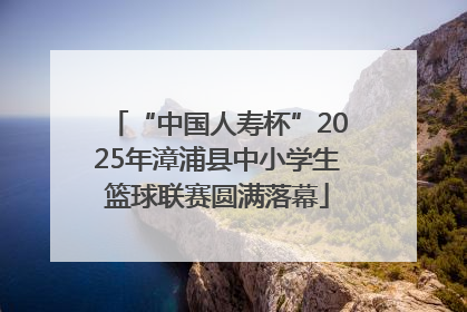 “中国人寿杯”2025年漳浦县中小学生篮球联赛圆满落幕