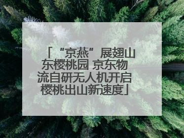 “京燕”展翅山东樱桃园 京东物流自研无人机开启樱桃出山新速度