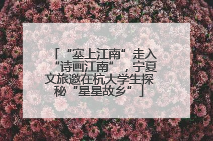 “塞上江南”走入“诗画江南”，宁夏文旅邀在杭大学生探秘“星星故乡”