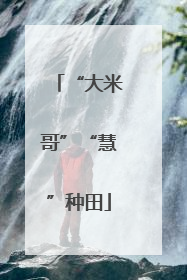 “大米哥”“慧”种田