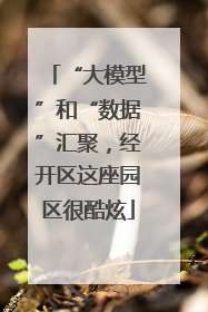 “大模型”和“数据”汇聚，经开区这座园区很酷炫