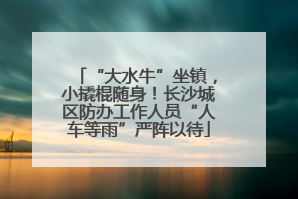 “大水牛”坐镇，小撬棍随身！长沙城区防办工作人员“人车等雨”严阵以待