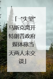 “失望”马斯克离开特朗普政府 媒体称当天两人未交谈