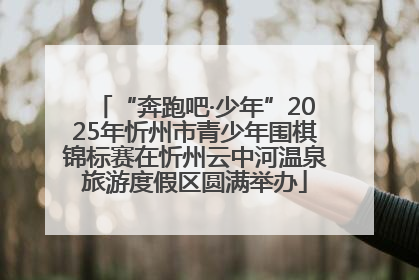 “奔跑吧·少年”2025年忻州市青少年围棋锦标赛在忻州云中河温泉旅游度假区圆满举办
