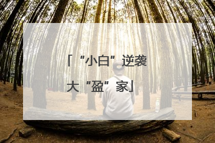 “小白”逆袭大“盈”家