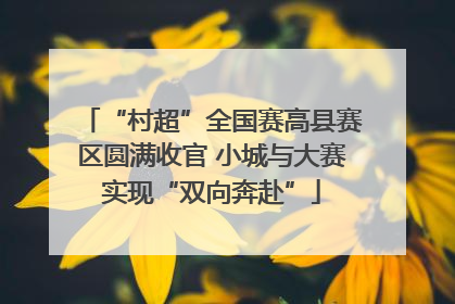 “村超”全国赛高县赛区圆满收官 小城与大赛实现“双向奔赴”