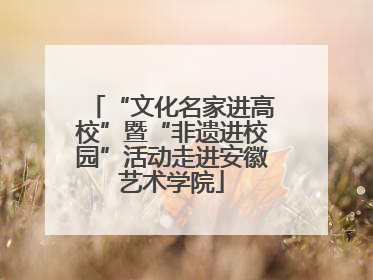 “文化名家进高校”暨“非遗进校园”活动走进安徽艺术学院