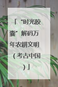 “时光胶囊”解码万年农耕文明（考古中国）
