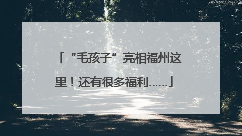 “毛孩子”亮相福州这里！还有很多福利……