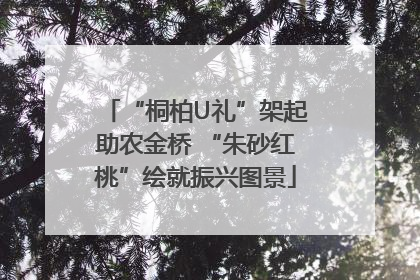 “桐柏U礼”架起助农金桥 “朱砂红桃”绘就振兴图景