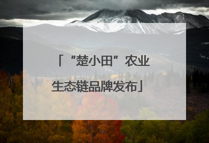 “楚小田”农业生态链品牌发布