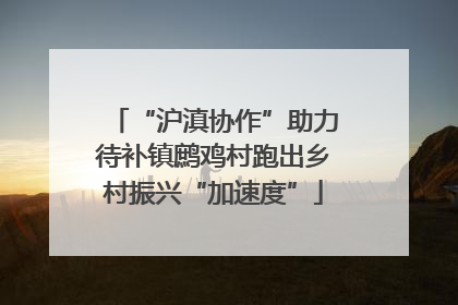 “沪滇协作”助力待补镇鹧鸡村跑出乡村振兴“加速度”