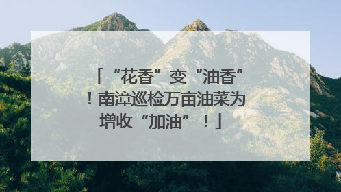 “花香”变“油香”！南漳巡检万亩油菜为增收“加油”！