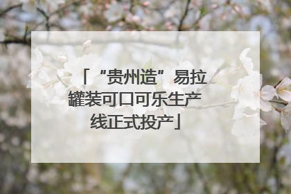 “贵州造”易拉罐装可口可乐生产线正式投产