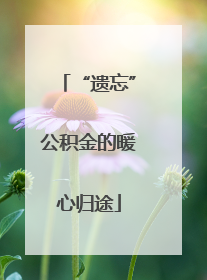 “遗忘”公积金的暖心归途