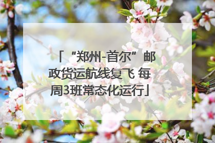 “郑州-首尔”邮政货运航线复飞 每周3班常态化运行