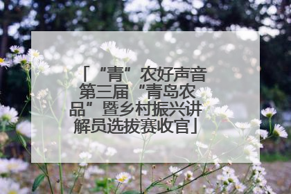 “青”农好声音 第三届“青岛农品”暨乡村振兴讲解员选拔赛收官