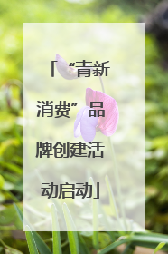 “青新消费”品牌创建活动启动