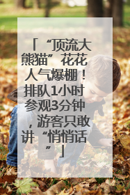 “顶流大熊猫”花花人气爆棚！排队1小时参观3分钟，游客只敢讲“悄悄话”
