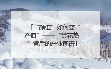 “颜值”如何变“产值”——“赏花热”背后的产业图谱