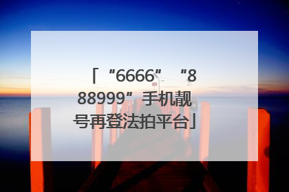 “6666”“888999”手机靓号再登法拍平台