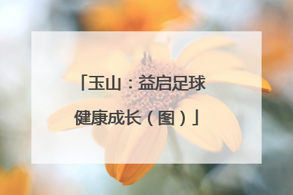 玉山：益启足球 健康成长（图）