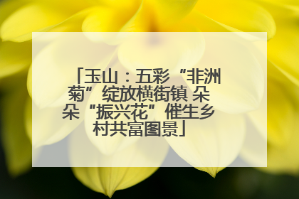 玉山：五彩“非洲菊”绽放横街镇 朵朵“振兴花”催生乡村共富图景