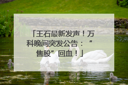 王石最新发声！万科晚间突发公告：“售股”回血！