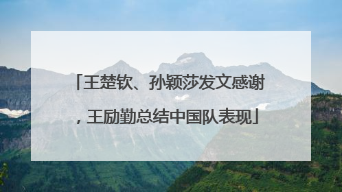 王楚钦、孙颖莎发文感谢，王励勤总结中国队表现