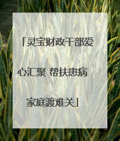 灵宝财政干部爱心汇聚 帮扶患病家庭渡难关