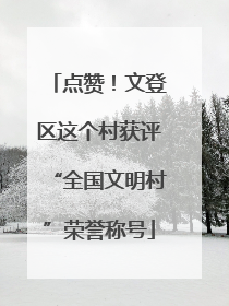 点赞！文登区这个村获评“全国文明村”荣誉称号